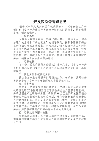 开发区监督管理意见