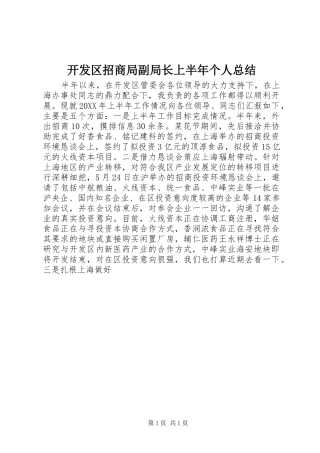 开发区招商局副局长上半年个人总结