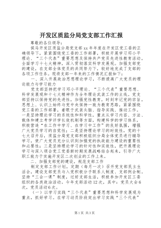 开发区质监分局党支部工作汇报