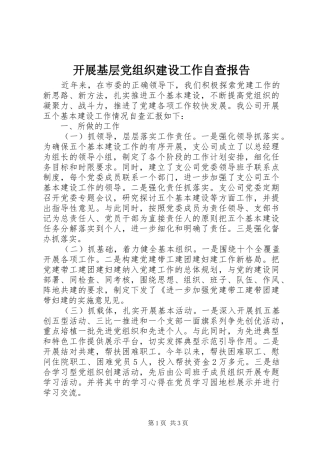 开展基层党组织建设工作自查报告