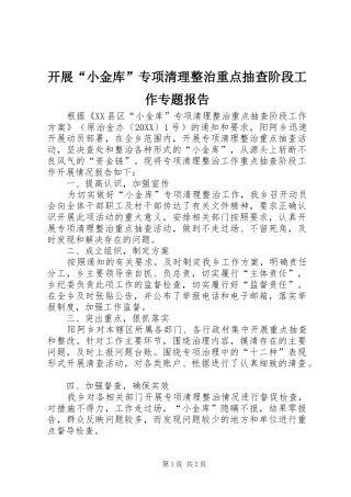 开展小金库专项清理整治重点抽查阶段工作专题报告