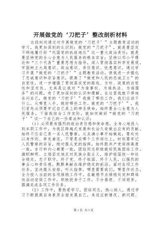开展做党的刀把子整改剖析材料