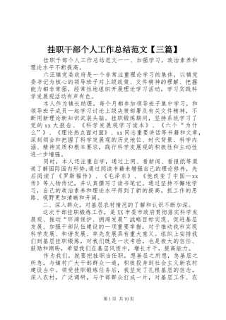 挂职干部个人工作总结范文三篇