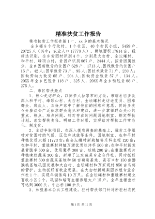 精准扶贫工作报告