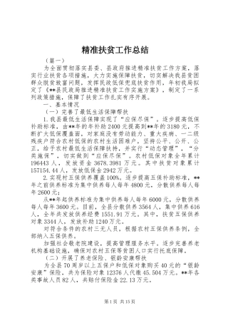 精准扶贫工作总结