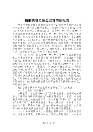 精准扶贫及资金监管情况报告