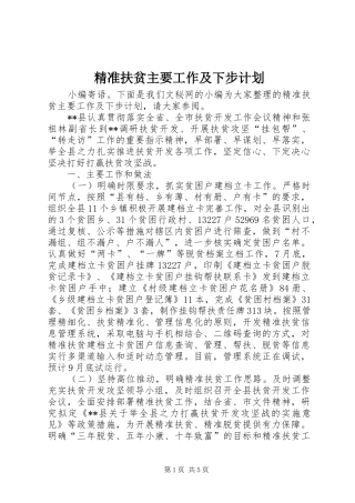 精准扶贫主要工作及下步计划