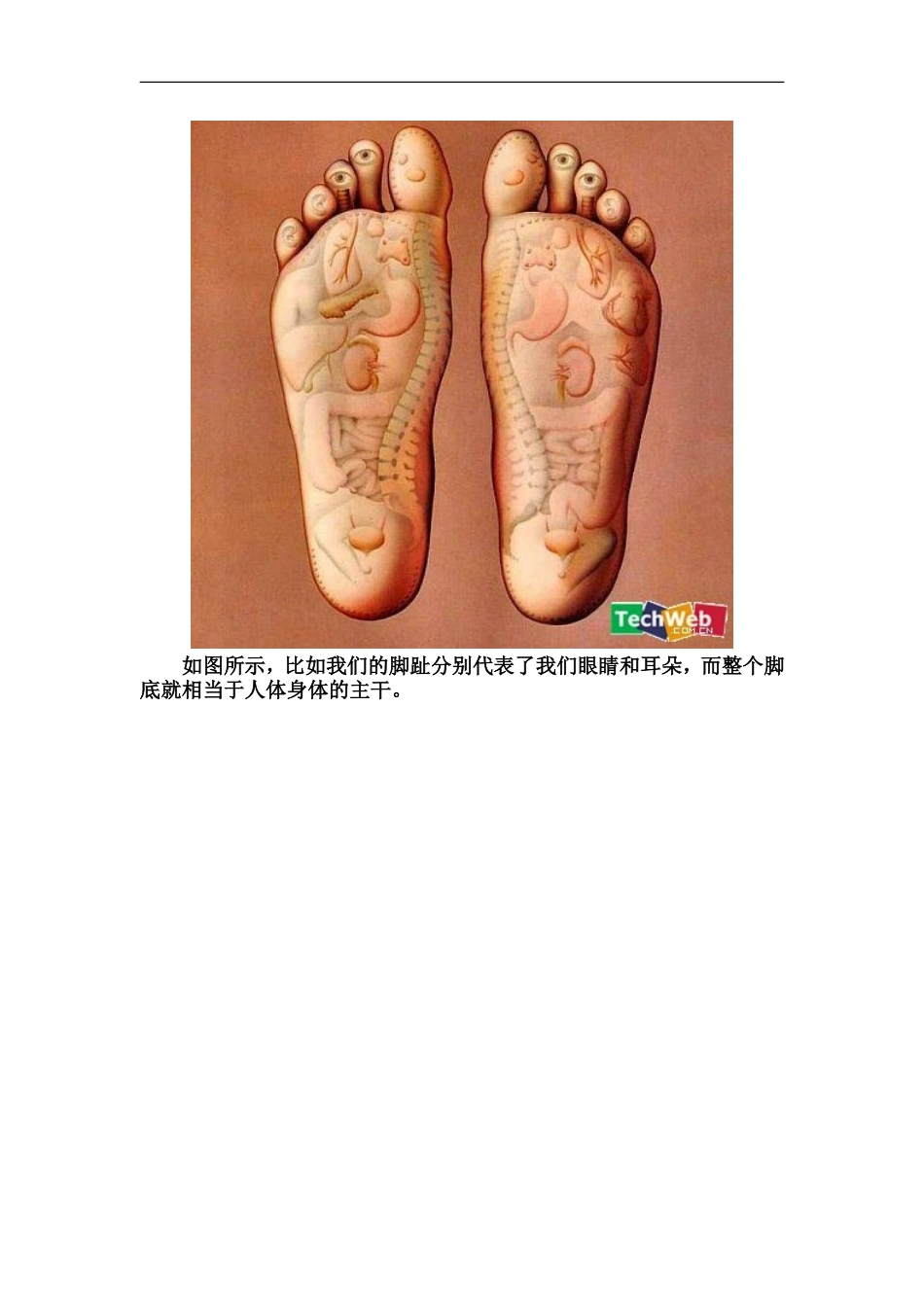 健康养生知识——睡觉的学问_第2页