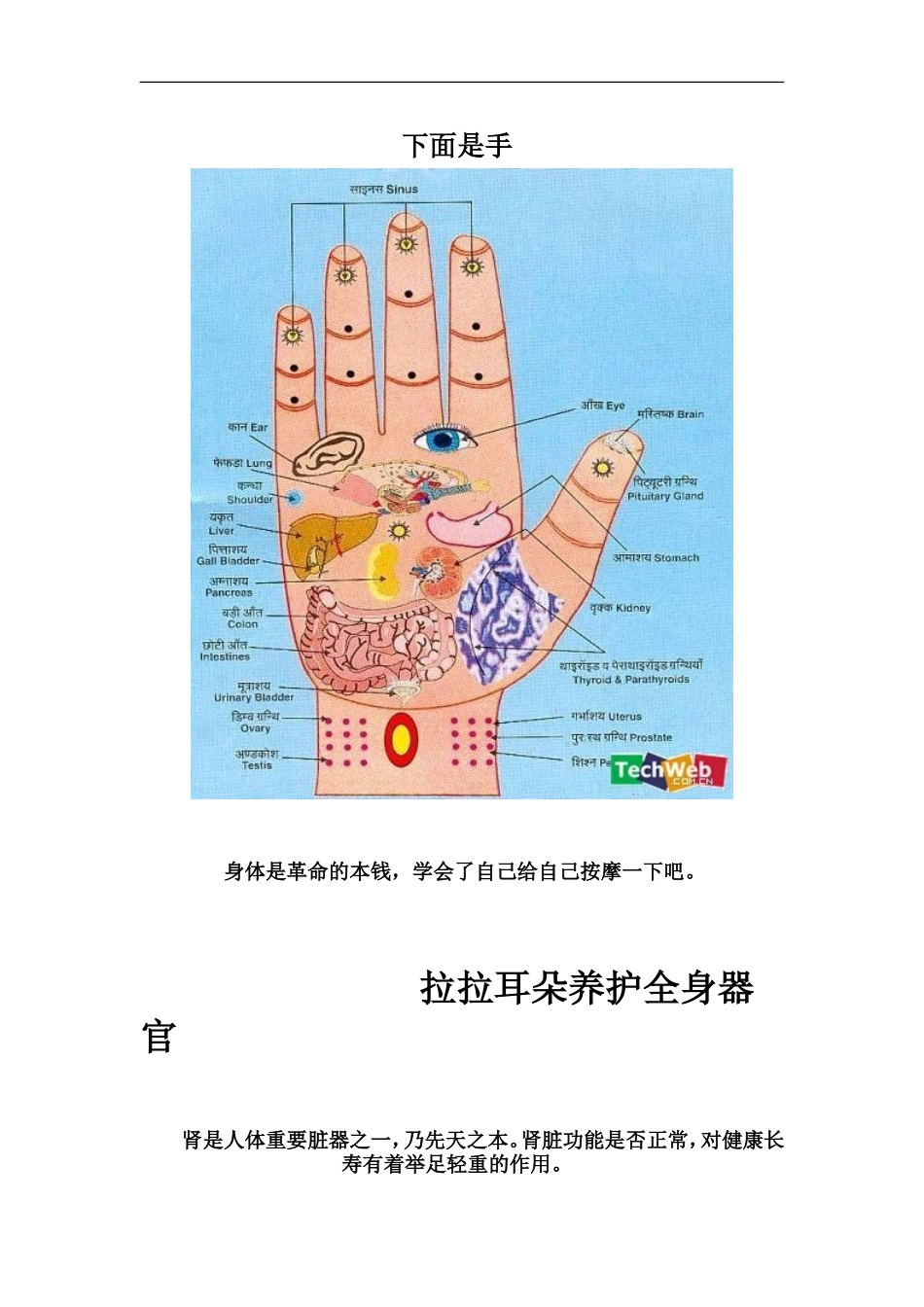健康养生知识——睡觉的学问_第3页