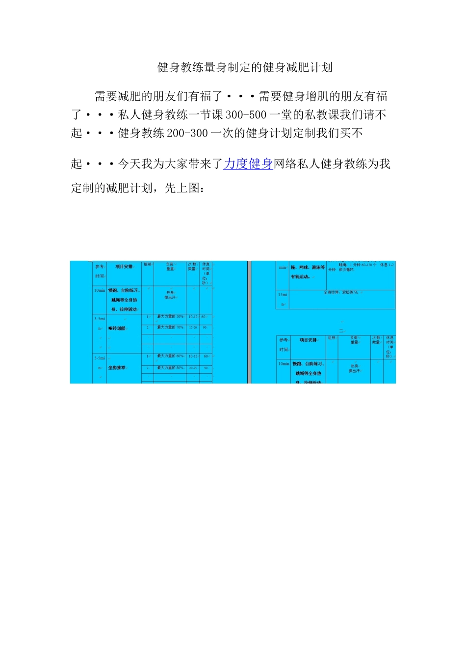 健身教练量身制定的健身减肥计划(花钱买来的)_第1页