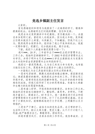 竞选乡镇副主任讲话