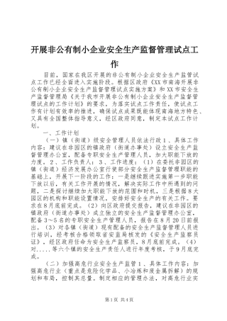 开展非公有制小企业安全生产监督管理试点工作