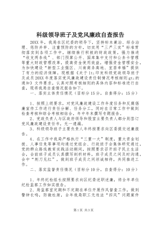 科级领导班子及党风廉政自查报告