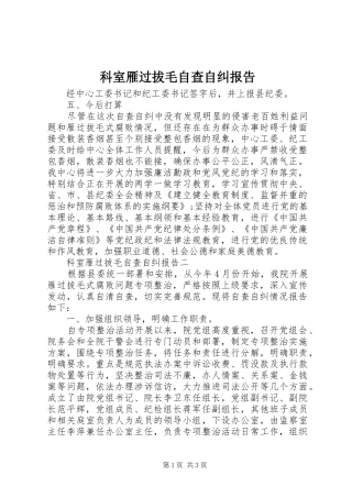 科室雁过拔毛自查自纠报告