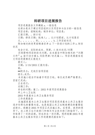 科研项目进展报告