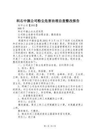 科右中旗公司粉尘危害治理自查整改报告
