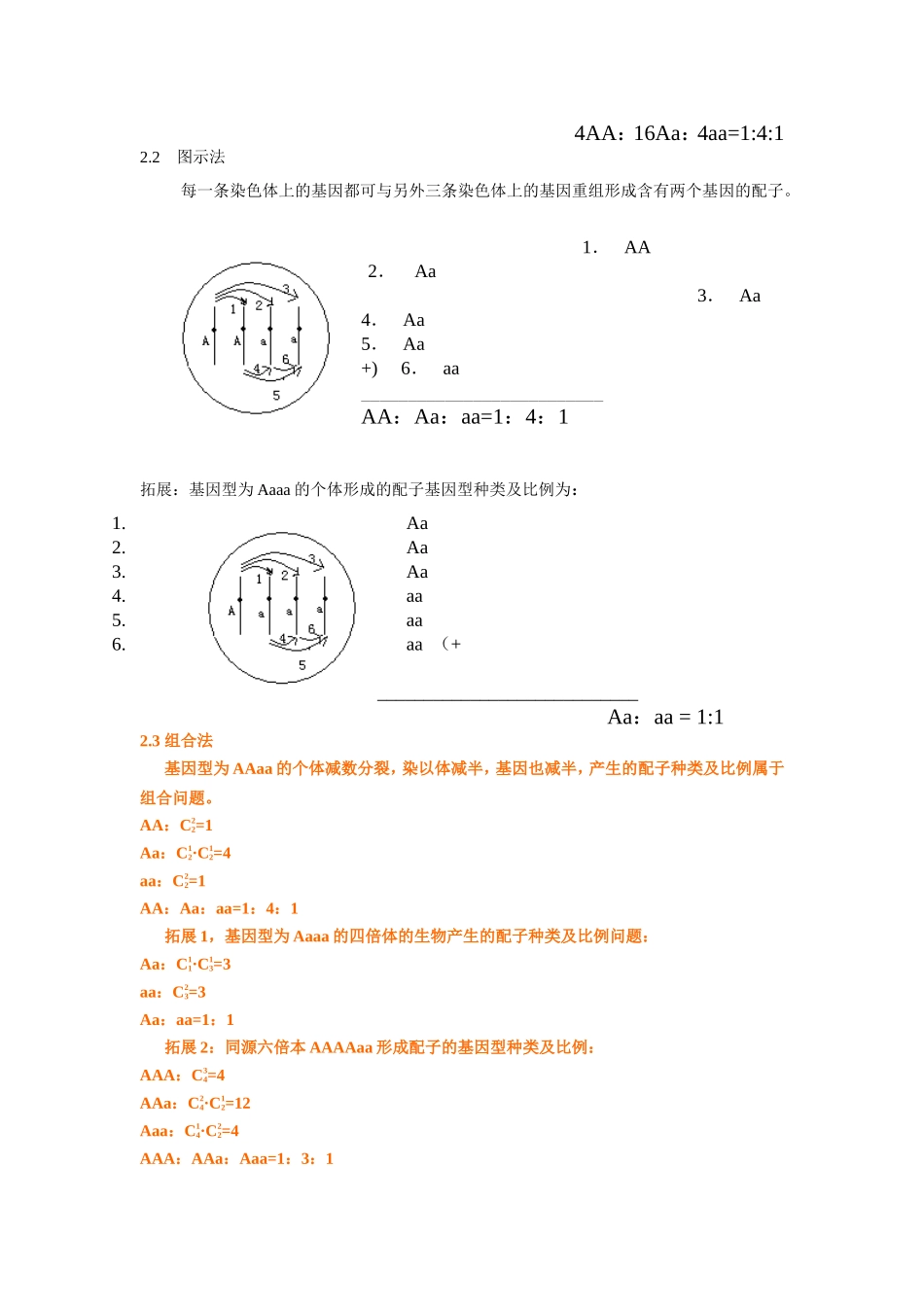例谈求解同源多倍体产生配子的种类和比例_第3页