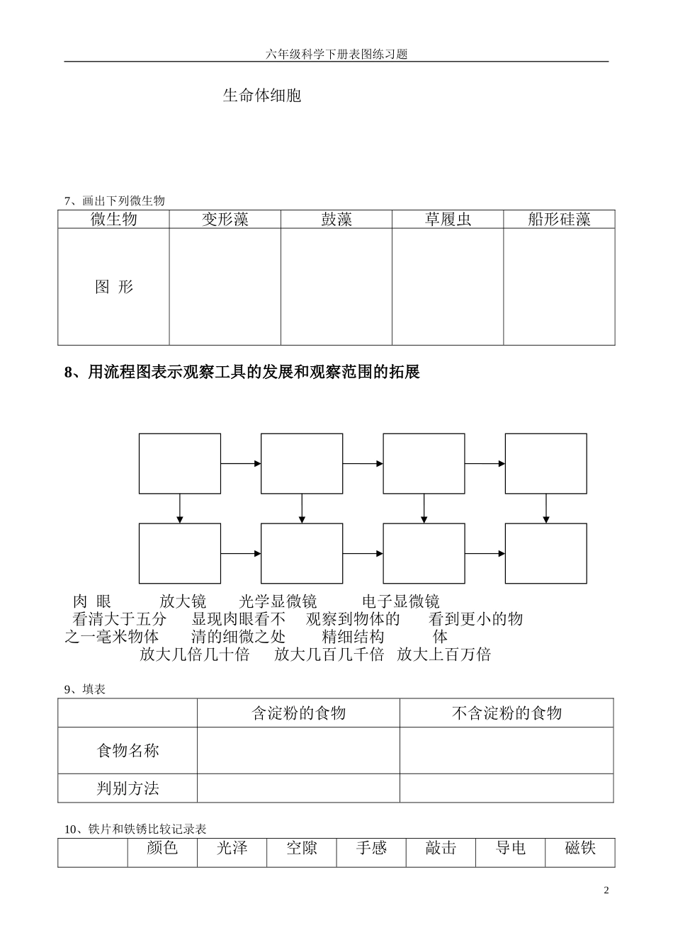 六年级科学下册复习画图与填图和实验题_第2页