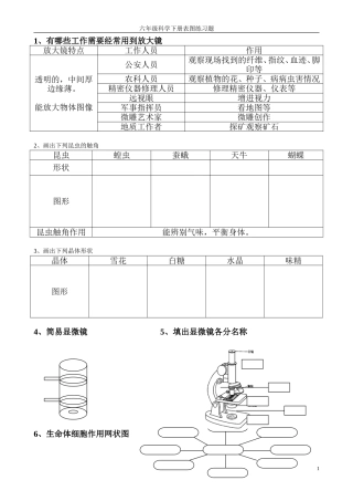 六年级科学下册复习画图与填图和实验题