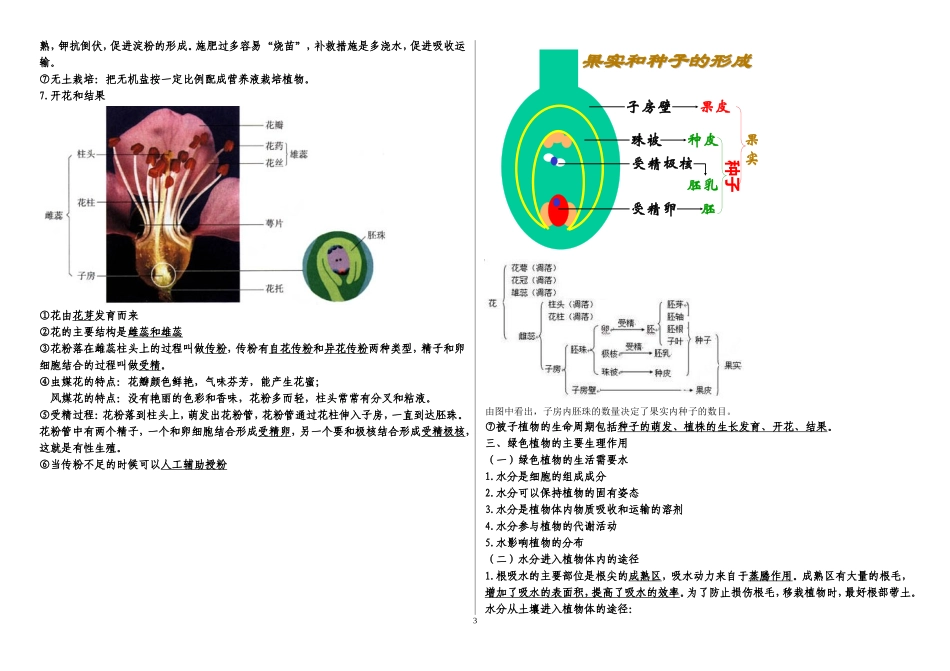 六年级下册生物复习提纲(同名10318)_第3页