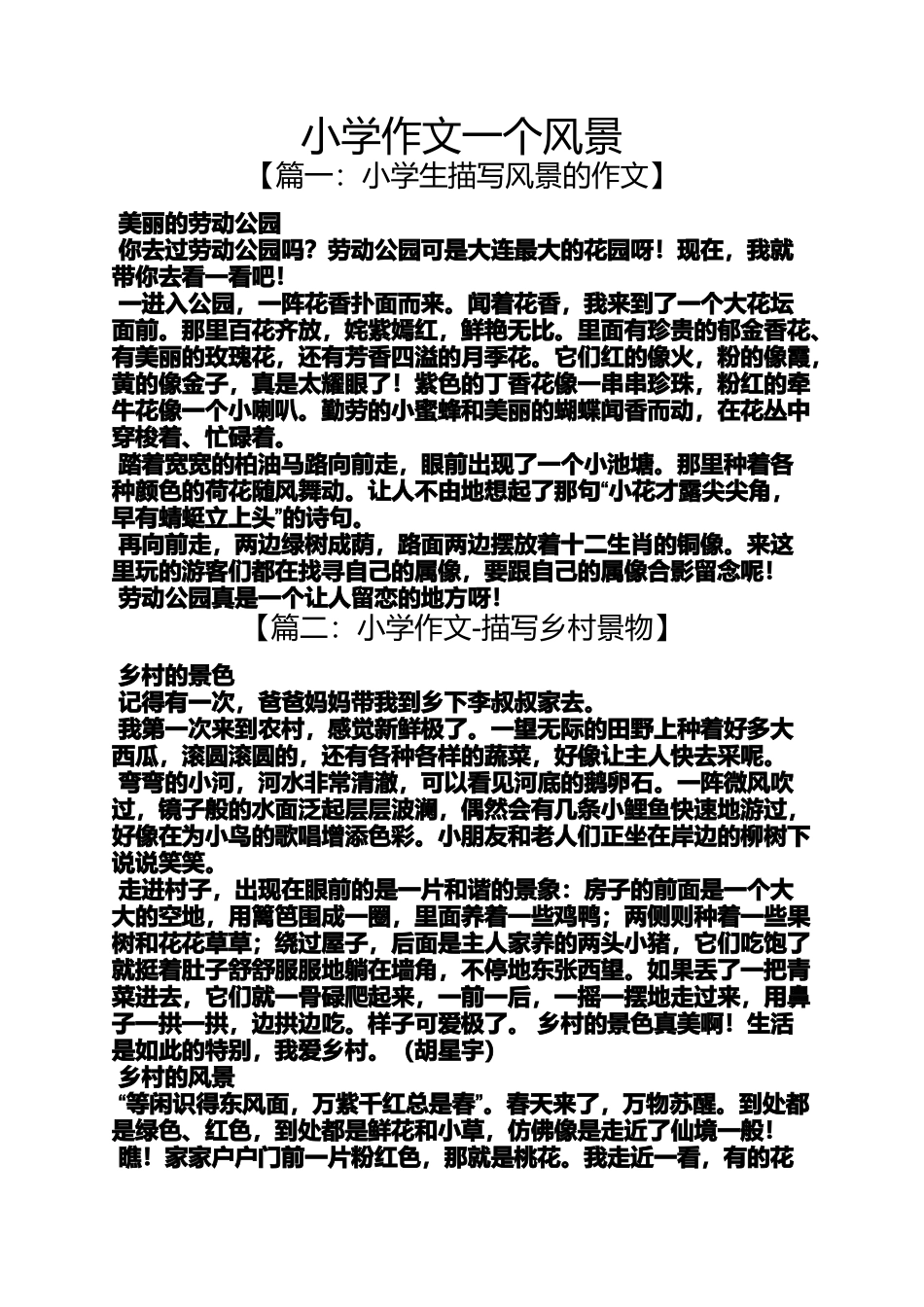 六年级作文之小学作文一个风景_第1页