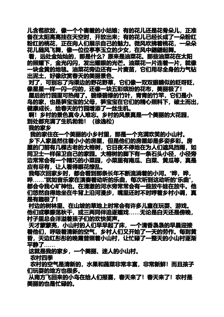 六年级作文之小学作文一个风景_第2页