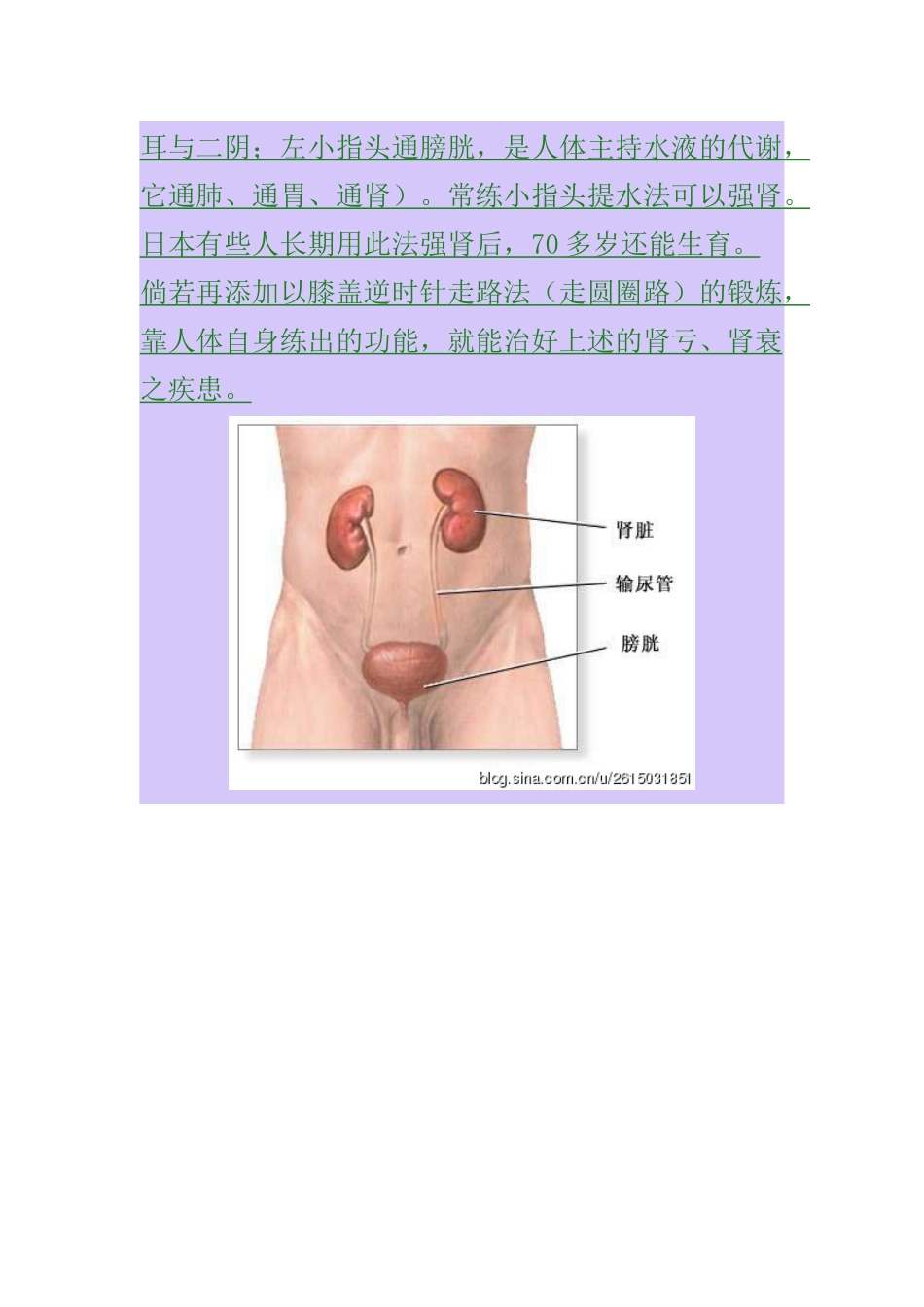 你在外面花多少钱都学不到的养生知识_第3页