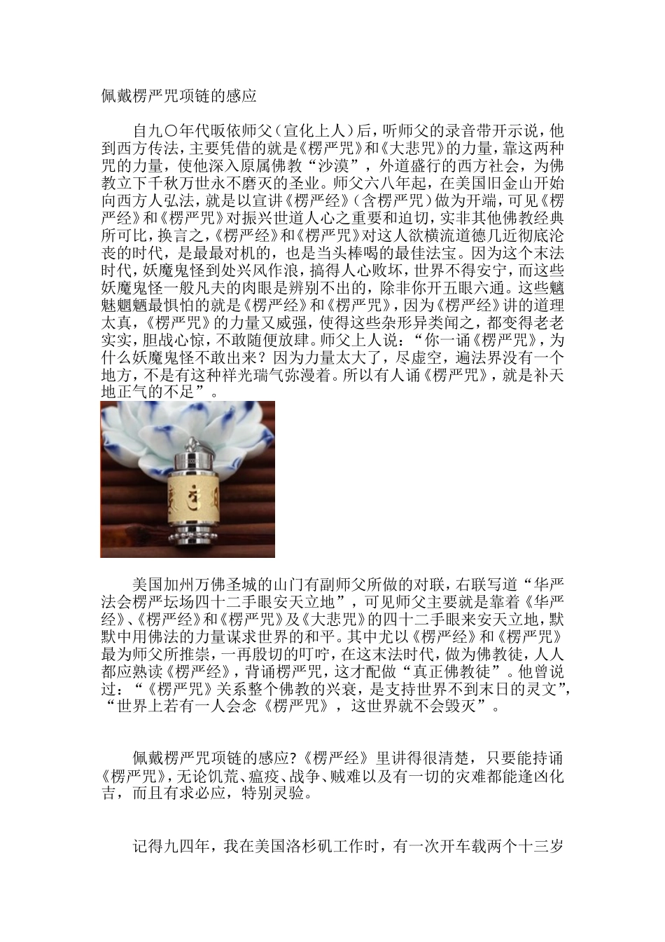 佩戴楞严咒项链的感应_第1页