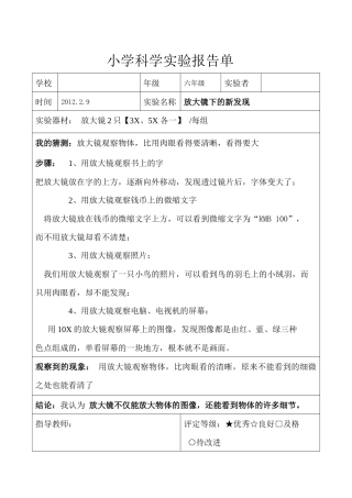 六年级下科学实验报告单