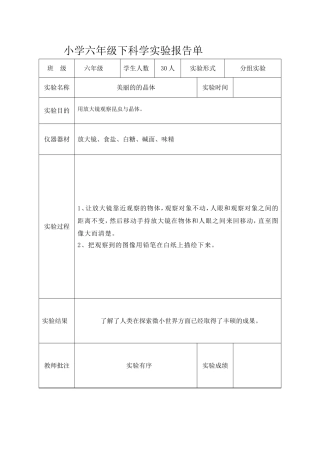 六下科学实验报告单
