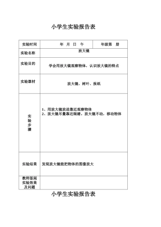 六下小学生实验报告