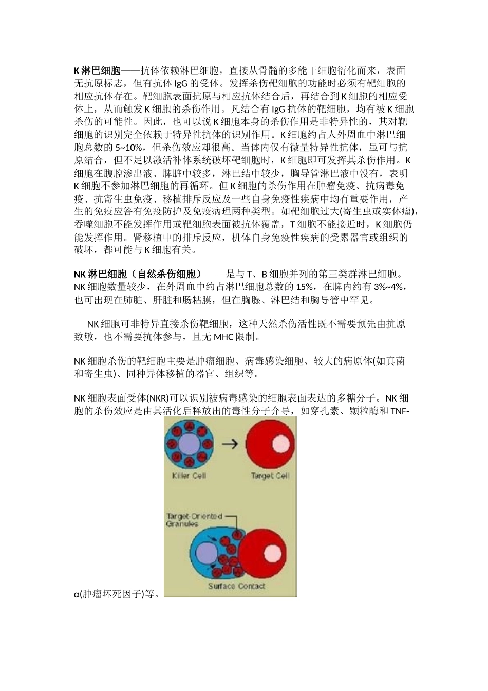 免疫细胞知识_第3页