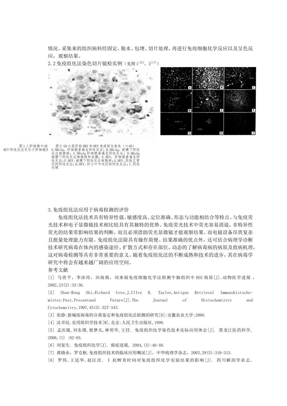 免疫组化在病毒学中的应用_第3页