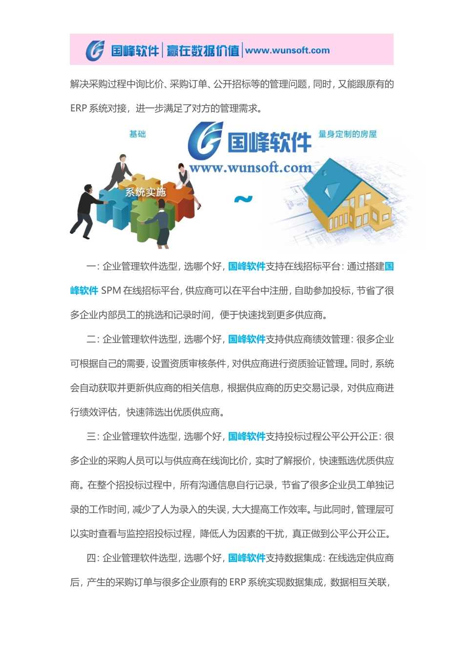 企业管理软件选型_第3页