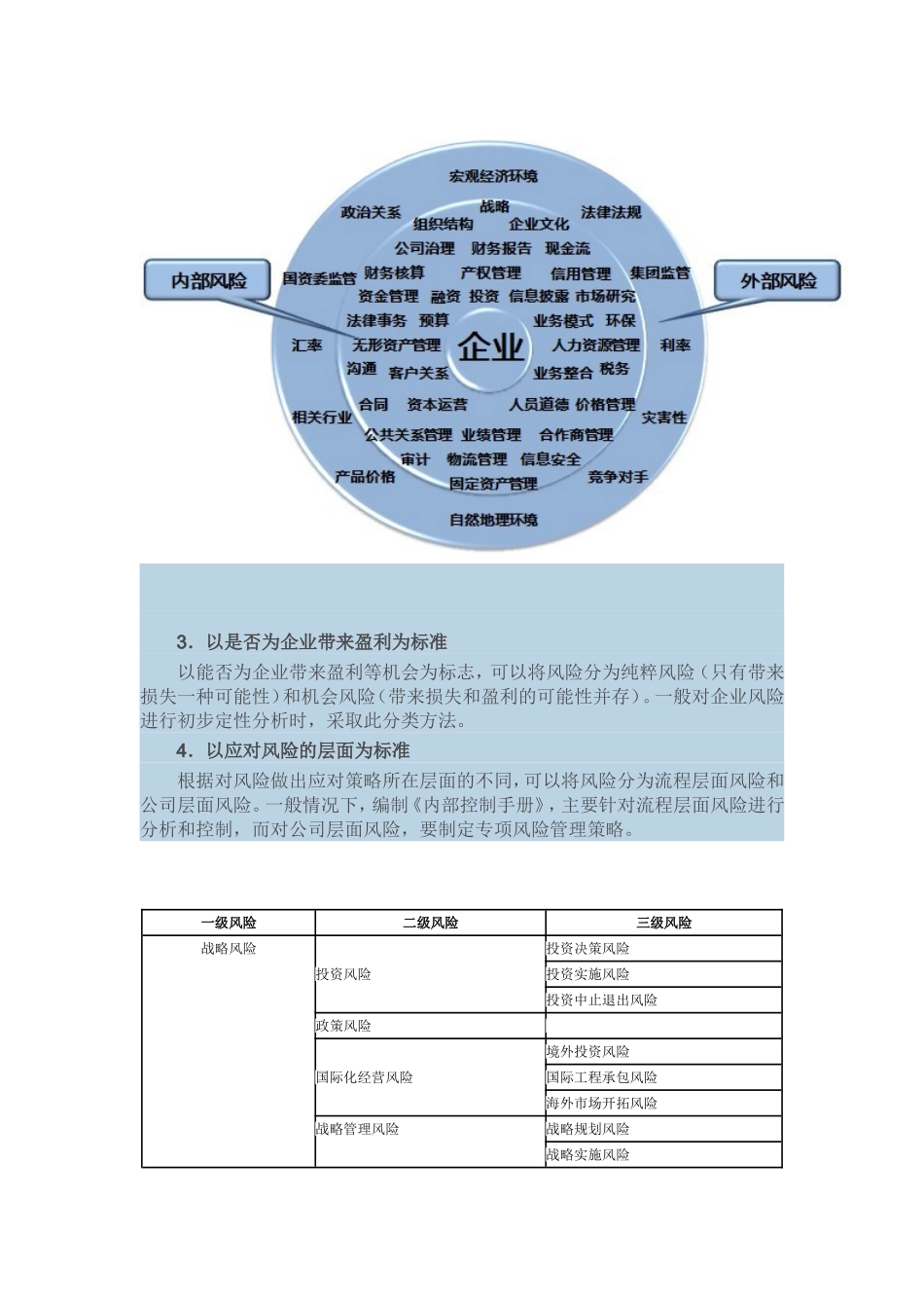 企业风险分类示例_第2页
