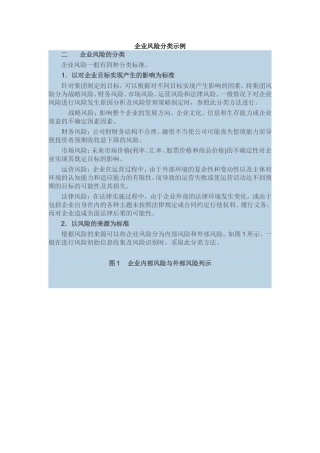 企业风险分类示例