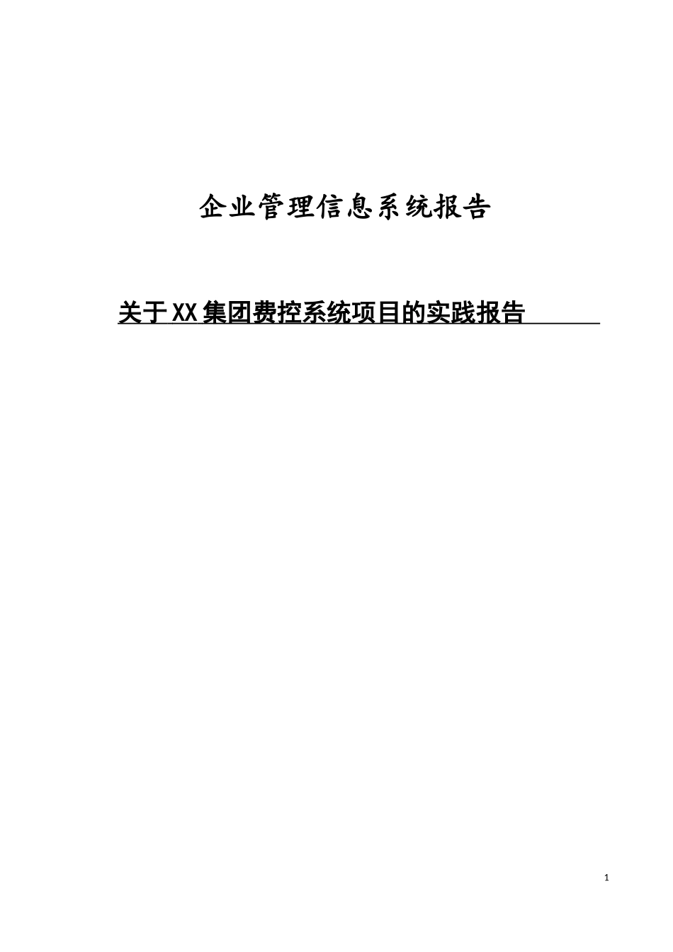 企业管理信息系统报告_第1页