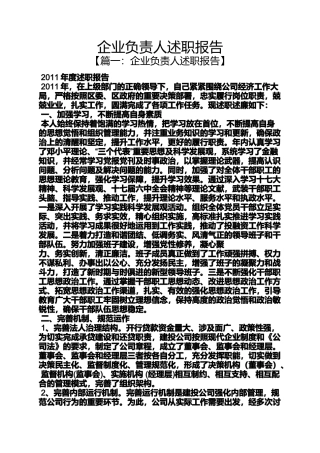 企业负责人述职报告