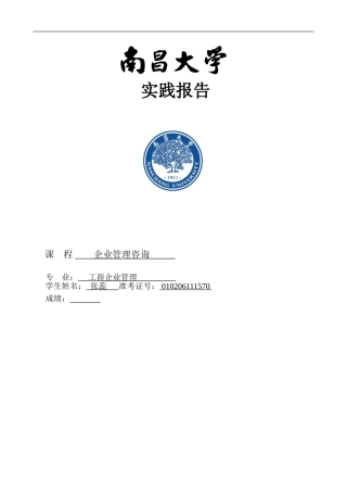 企业管理咨询实践报告