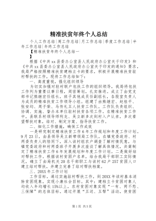 精准扶贫年终个人总结