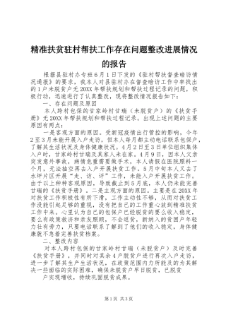 精准扶贫驻村帮扶工作存在问题整改进展情况的报告