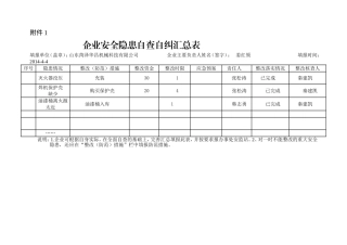 企业自查自纠表