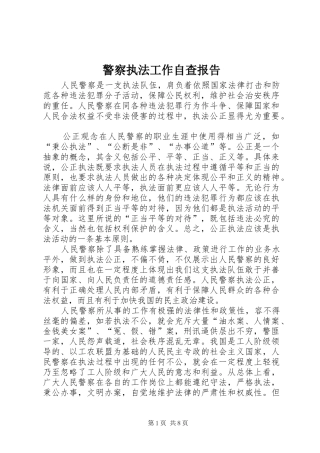 警察执法工作自查报告