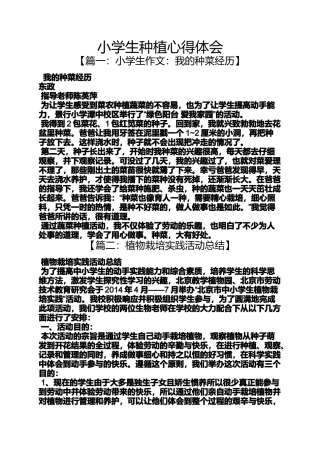 六年级作文之小学生种植心得体会