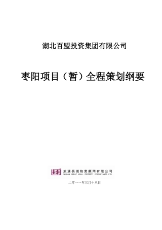 全程策划提纲(同名2771)