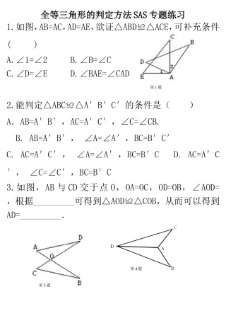 全等三角形判定SAS专题练习