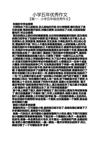 六年级作文之小学五年优秀作文