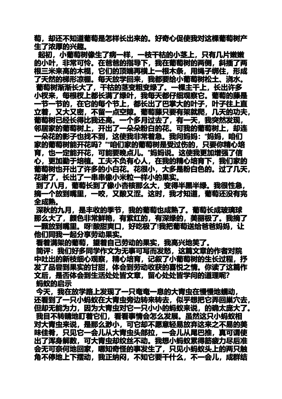 六年级作文之小学新课程标准人教版第八册第三单元作文从什么身上_第3页