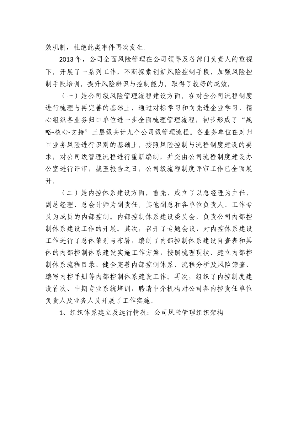 全面风险管理报告_第2页