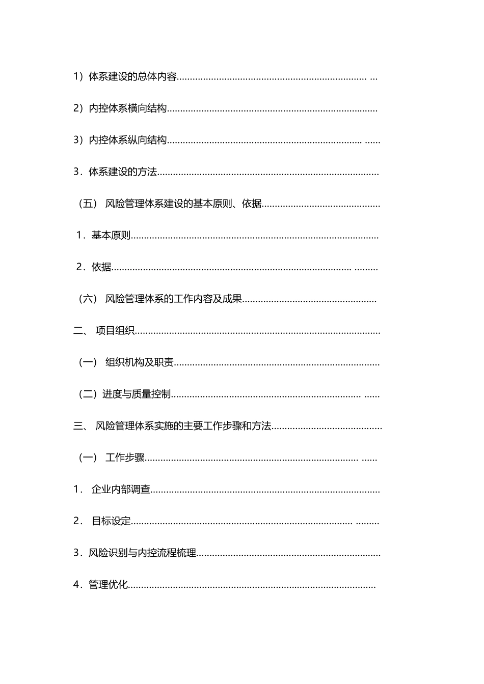 全面风险管理项目实施方案(模板)_第2页